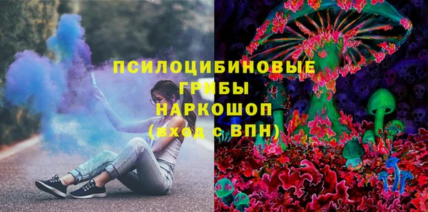сатива Калининец
