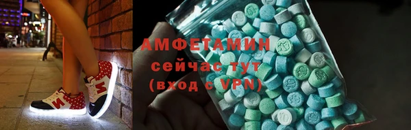 сатива Калининец