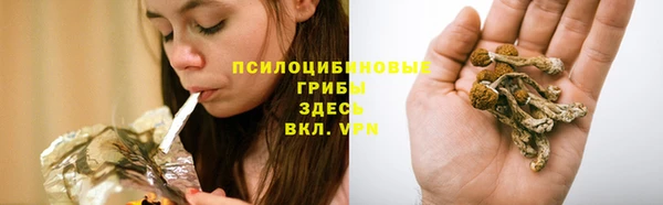 jwh Санкт-Петербург