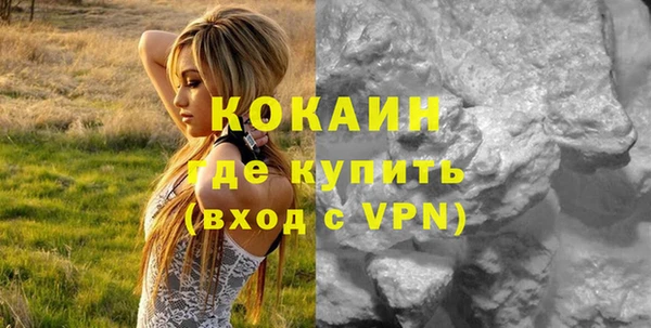 ГАЛЛЮЦИНОГЕННЫЕ ГРИБЫ Нестеровская