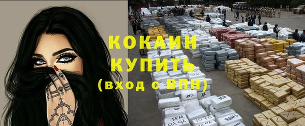 сатива Калининец