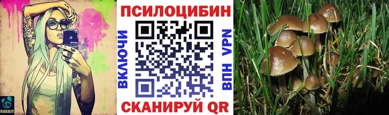 Псилоцибиновые грибы Magic Shrooms  Купить где  Ликино-Дулёво 
